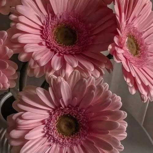  یه روز میرم من اعتماد به آدما پیرم کرد