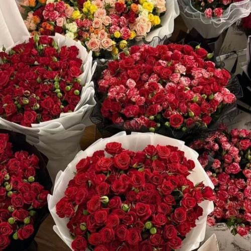  دلم آرزوهامو میخواد دلم میخواد دیگه بس کنم