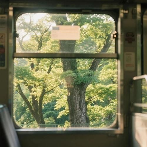 به نام محرومان به نام دلشکسته گان به نام تن فروشان