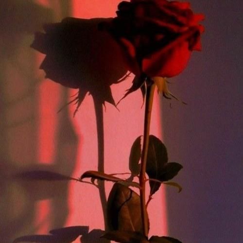 رقب و رقبا نقره داغ شریک و شرکا شبهه دار