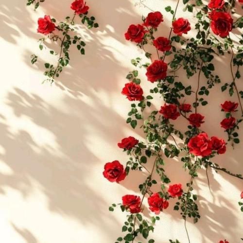  دیگه فهمیدم من دارم وجودشو نه پول بابام بود