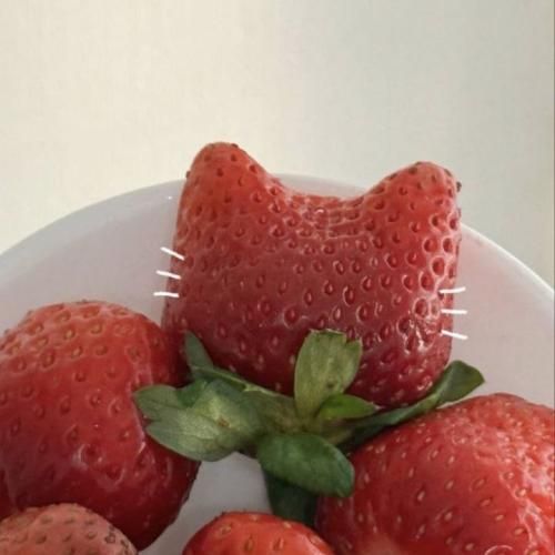  ته دلمم خاموش شدش و نموند چراغی