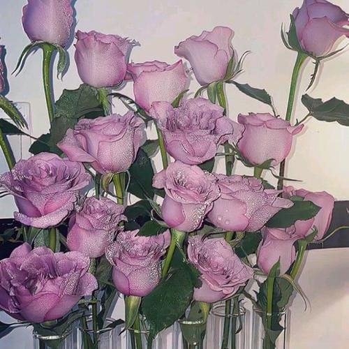 من واسه تو میخوندم تا تو فقط برقصی (میکس اینستا)