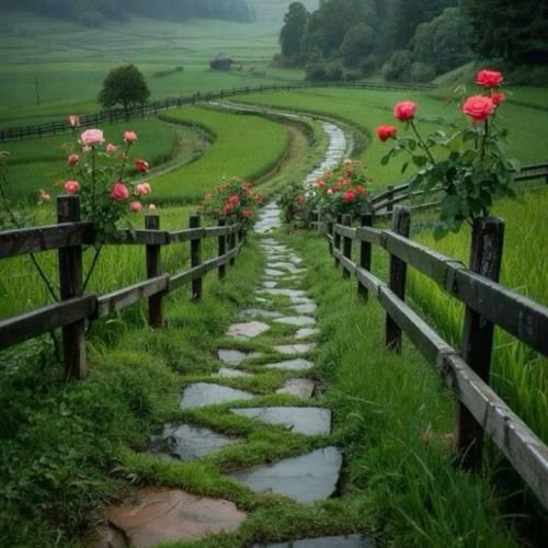 اتل متل توتوله بگو زندگی چجوره قشنگه میچرخه