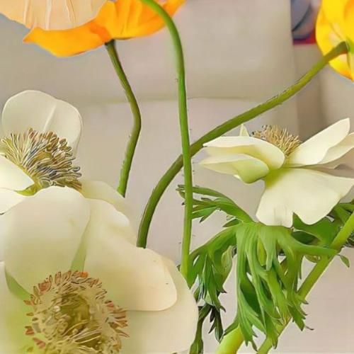  ندیدم من مثل تورو تا حالا خوب با من میرقصی چاچاچا