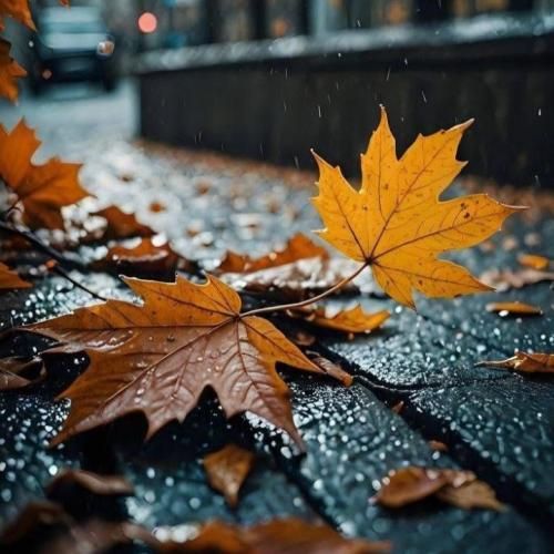  برام حسی نمونده این زمونه یه سرابه بی امونه