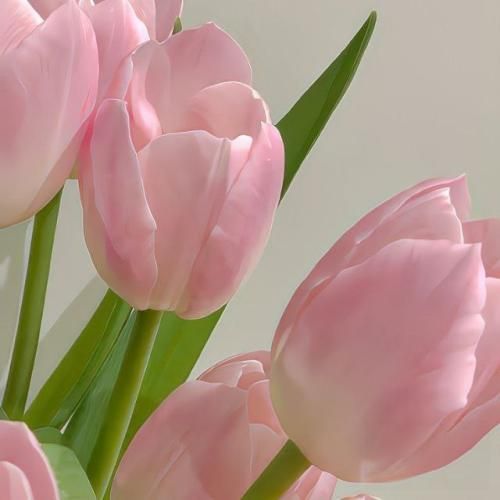  منتظر زنگتم کجایی بد لنگتم من تورو میخوام