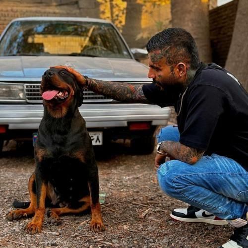 دانلود آهنگ یکی نیازمه از مهدیار دانلود آهنگ یکی نیازمه از مهدیار