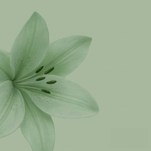  الان که فاصلم تا مرگ دو قدمه فهمیدم دلم