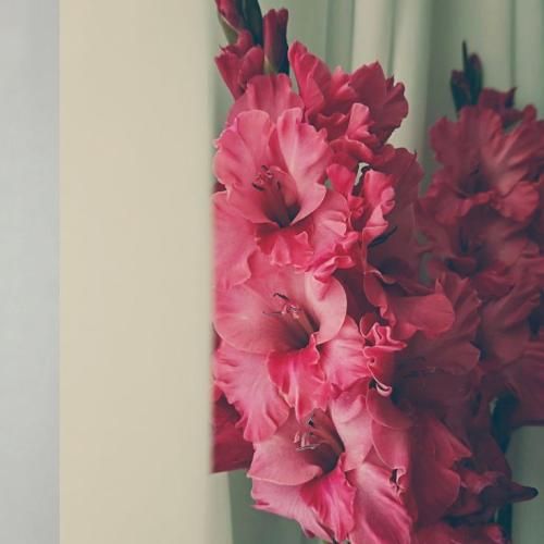 منی که تخس بودم نمیگرفت گریم الان یسره بارونیه