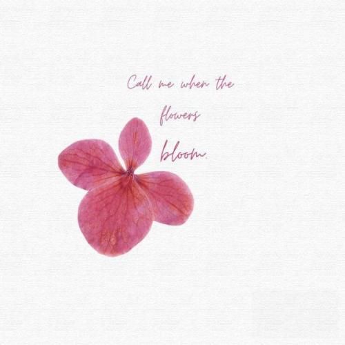  هر جا که میرم تو دل من مست تا که میشم