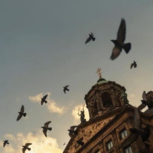 سگ دو میزنم ولی پول نیست مامان