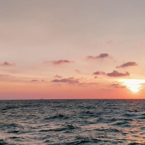  دل من یکم گله رو کم کن بچینم پلنو کن