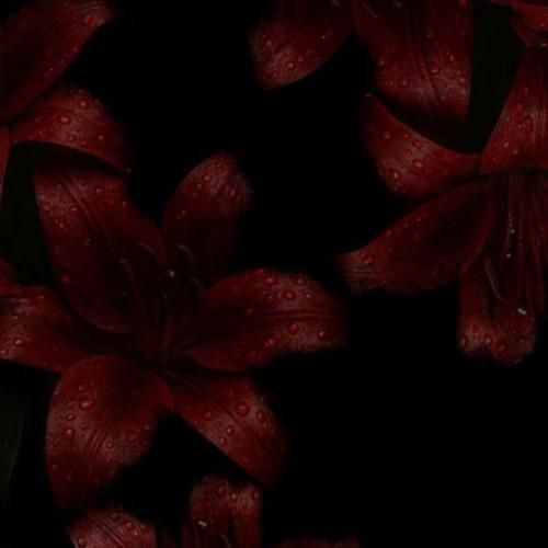 مهم نی از جیبم هرچی درآد ولی تقریبا حال میده بعضی شبا