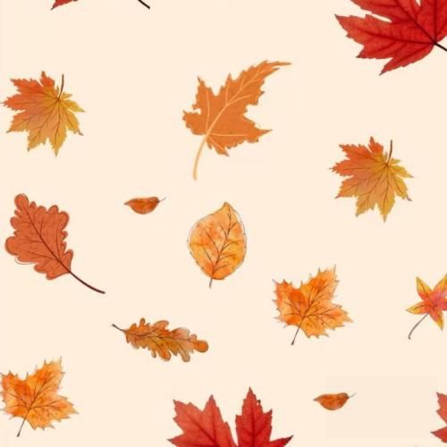 دانلود ریمیکس چیکار کردی بام این آخریا نداشت این حال خریدار