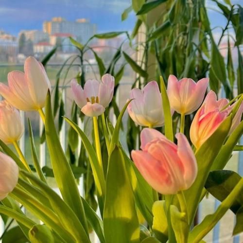 دانلود آهنگ من دلم نمیخواست ولی دست مه هیچ نمک ناره