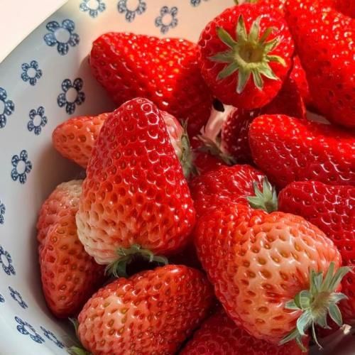  گل زندگی زندگی کن نبینم تشنگی تو