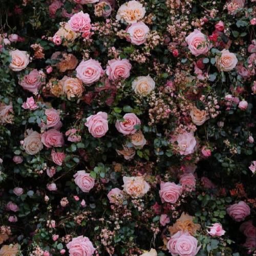 دانلود آهنگ تا دست یافتن رو اسب تاختن کاخ هارو سوزوندن