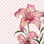 سر تو من کوره دلم ولی تو آزاری تو دردی